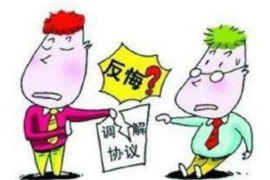 安康专业讨债公司，追讨消失的老赖