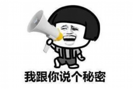 安康为什么选择专业追讨公司来处理您的债务纠纷？