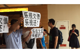 安康如何避免债务纠纷？专业追讨公司教您应对之策